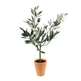 Olive Topiary in Pot 22"H Polyester/Terra Cotta