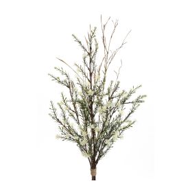 Leptospermum Swag (Set of 2) 22"L Plastic