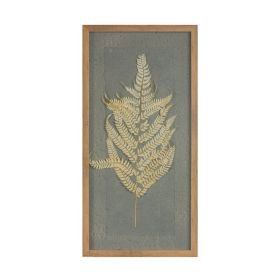 Framed Fern (Set of 2) 14"L x 27.5"H Wood/Paper