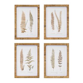 Framed Fern Print 17.75"SQ Inspired Country Rustic Decor  (Set of 4)