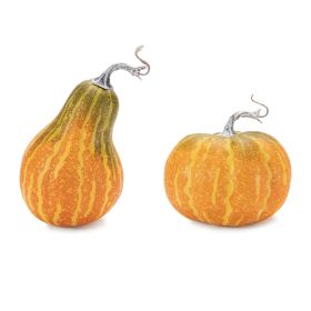 Pumpkin/Gourd (Set of 2) 5.5"D x 5"H, 5"D x 8.5"H Styrofoam