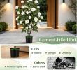 35.5" Artificial Rose Tree Blooming Flowers Green Leaves Indoor Decorative Faux Rose Bush for Home Decor-There is only one.