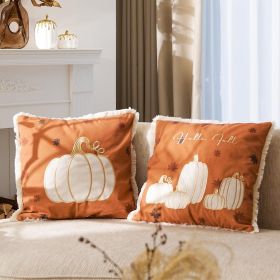 DN DECONATION Fall Pillow Covers 18x18 Set of 2, Pumpkins Throw Pillow Covers with Tassel