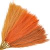 30pcs Orange Pampas Grass