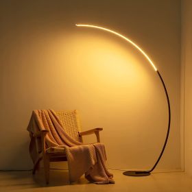 Modern Curve Floor Lamp 66.9-inch, Dimmable | New Version