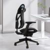 Big and Tall Office Chair with Adjustable lumbar and slide seats , Headrest and 4d armrest , tilt function max degree is 115 Â°, 300LBS, Black