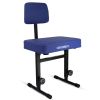 5 Core Piano Bench 3" Padded Cushioned Stool w Backrest Heavy Duty Musician Chair Height Adjustable - PNB B-REST BLU