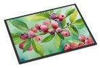 NEW Connecticut Mountain Laurels in Watercolor Doormat Front Door Mat Indoor Outdoor Rugs for Entryway, Non Slip Washable Low Pile, 18H X 27W