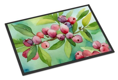 NEW Connecticut Mountain Laurels in Watercolor Doormat Front Door Mat Indoor Outdoor Rugs for Entryway, Non Slip Washable Low Pile, 18H X 27W