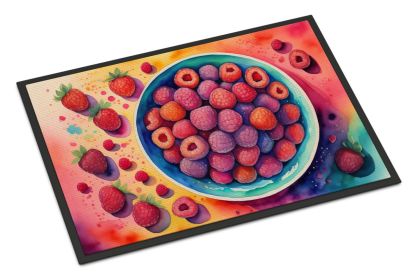 NEW Colorful Raspberries Doormat Front Door Mat Indoor Outdoor Rugs for Entryway, Non Slip Washable Low Pile, 18H X 27W