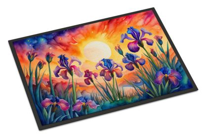 NEW Iris in Color Doormat Front Door Mat Indoor Outdoor Rugs for Entryway, Non Slip Washable Low Pile, 18H X 27W