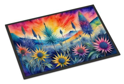 NEW Eryngium in Color Doormat Front Door Mat Indoor Outdoor Rugs for Entryway, Non Slip Washable Low Pile, 18H X 27W