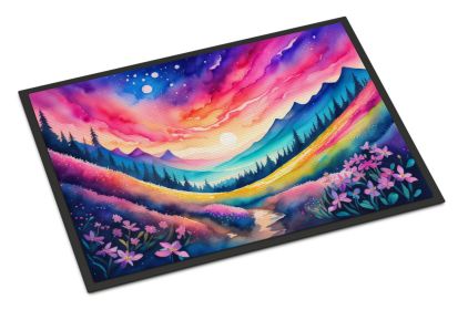 NEW Phlox in Color Doormat Front Door Mat Indoor Outdoor Rugs for Entryway, Non Slip Washable Low Pile, 18H X 27W