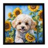 Maltipoo in Sunflowers Framed Metal Print Bathroom, Kitchen, Office, Home Decor Wall Art Ready to Hang, Square, 8X8
