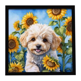 Maltipoo in Sunflowers Framed Metal Print Bathroom, Kitchen, Office, Home Decor Wall Art Ready to Hang, Square, 8X8