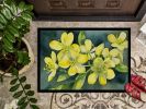 NEW South Carolina Yellow Jessamine in Watercolor Doormat Front Door Mat Indoor Outdoor Rugs for Entryway, Non Slip Washable Low Pile, 18H X 27W