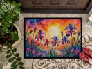 NEW Iris in Color Doormat Front Door Mat Indoor Outdoor Rugs for Entryway, Non Slip Washable Low Pile, 18H X 27W