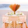 30pcs Orange Pampas Grass