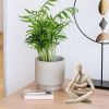 Decor Thinker Statue - Abstract Art Reading Thinker Sculpture Figurine Aesthetic