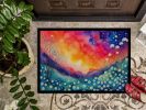NEW Gypsophila in Color Doormat Front Door Mat Indoor Outdoor Rugs for Entryway, Non Slip Washable Low Pile, 18H X 27W