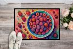 NEW Colorful Raspberries Doormat Front Door Mat Indoor Outdoor Rugs for Entryway, Non Slip Washable Low Pile, 18H X 27W