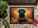 NEW Black Labrador Retriever Fall Doormat Front Door Mat Indoor Outdoor Rugs for Entryway, Non Slip Washable Low Pile, 18H X 27W