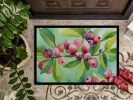 NEW Connecticut Mountain Laurels in Watercolor Doormat Front Door Mat Indoor Outdoor Rugs for Entryway, Non Slip Washable Low Pile, 18H X 27W