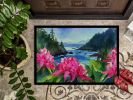 NEW Washington Coast Rhododendrons in Watercolor Doormat Front Door Mat Indoor Outdoor Rugs for Entryway, Non Slip Washable Low Pile, 18H X 27W