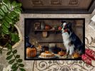 NEW Australian Shepherd Fall Kitchen Pumpkins Doormat Front Door Mat Indoor Outdoor Rugs for Entryway, Non Slip Washable Low Pile, 18H X 27W