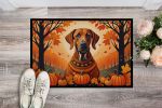 NEW Rhodesian Ridgeback Fall Doormat Front Door Mat Indoor Outdoor Rugs for Entryway, Non Slip Washable Low Pile, 18H X 27W