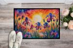 NEW Iris in Color Doormat Front Door Mat Indoor Outdoor Rugs for Entryway, Non Slip Washable Low Pile, 18H X 27W