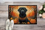 NEW Black Labrador Retriever Fall Doormat Front Door Mat Indoor Outdoor Rugs for Entryway, Non Slip Washable Low Pile, 18H X 27W