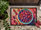 NEW Colorful Raspberries Doormat Front Door Mat Indoor Outdoor Rugs for Entryway, Non Slip Washable Low Pile, 18H X 27W