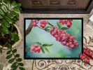 NEW Pennsylvania Mountain Laurels in Watercolor Doormat Front Door Mat Indoor Outdoor Rugs for Entryway, Non Slip Washable Low Pile, 18H X 27W