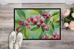 NEW Connecticut Mountain Laurels in Watercolor Doormat Front Door Mat Indoor Outdoor Rugs for Entryway, Non Slip Washable Low Pile, 18H X 27W