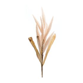 Foxtail Stem (Set of 2) 35.5"H Polyester (Option: Pink, Beige)