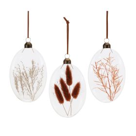 Ornament (Set of 12) 5.5"H Glass (Option: Brown, Red, Pink)