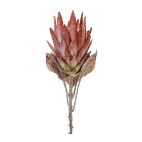 Protea Stem (Set of 2) 29"H Polyester (Option: Orange, Green)
