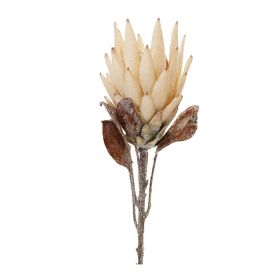 Protea Stem (Set of 2) 29"H Polyester (Option: Beige, Brown)