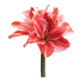 Amaryllis (Set of 6) 17.5"H Polyester (Option: Red, Pink)