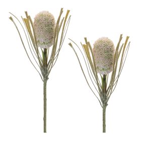 Protea Stem (Set of 2) 28"H Plastic (Option: Green)