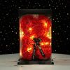 Artificial Rose Bear Flower  With Box and Light