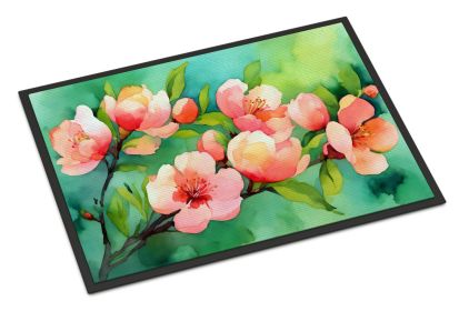 NEW Delaware Peach Blossom in Watercolor Doormat Front Door Mat Indoor Outdoor Rugs for Entryway, Non Slip Washable Low Pile, 18H X 27W (Default: Default)