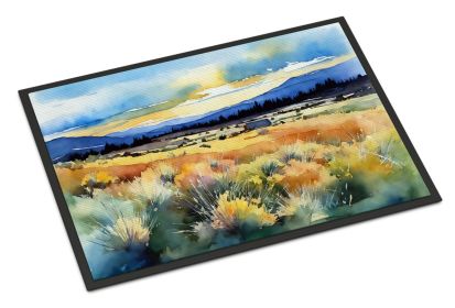 NEW Nevada Sagebrush in Watercolor Doormat Front Door Mat Indoor Outdoor Rugs for Entryway, Non Slip Washable Low Pile, 18H X 27W (Default: Default)
