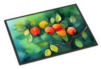 NEW Missouri Hawthorns in Watercolor Doormat Front Door Mat Indoor Outdoor Rugs for Entryway, Non Slip Washable Low Pile, 18H X 27W