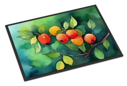 NEW Missouri Hawthorns in Watercolor Doormat Front Door Mat Indoor Outdoor Rugs for Entryway, Non Slip Washable Low Pile, 18H X 27W (Default: Default)