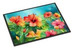 NEW Hawaii Hawaiian Hibiscus in Watercolor Doormat Front Door Mat Indoor Outdoor Rugs for Entryway, Non Slip Washable Low Pile, 18H X 27W
