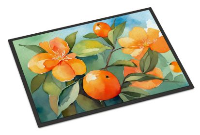 NEW Florida Orange Blossom in Watercolor Doormat Front Door Mat Indoor Outdoor Rugs for Entryway, Non Slip Washable Low Pile, 18H X 27W (Default: Default)