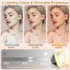 Portable Travel Makeup Bag With LED Mirror Rechargeable Beauty Mirror With 3 Color Light Dimmable Brightness Waterproof Cosmetic Bag With 4 Compartme
