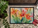 NEW Lilies in Watercolor Doormat Front Door Mat Indoor Outdoor Rugs for Entryway, Non Slip Washable Low Pile, 18H X 27W